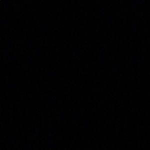 Meet your Posher, Daniela